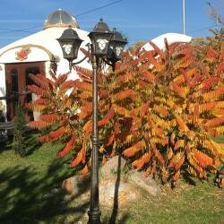 Гостиница Колесо Смоленск-155