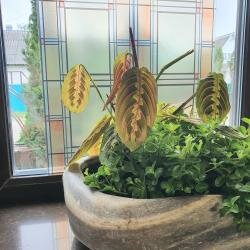 Гостиница Колесо Смоленск-183