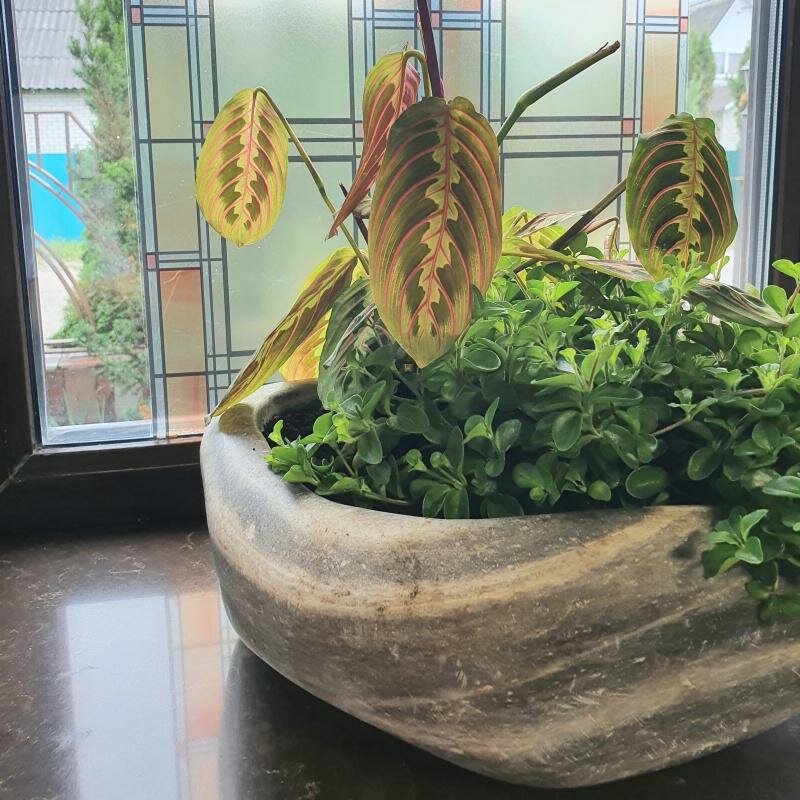 Гостиница Колесо Смоленск