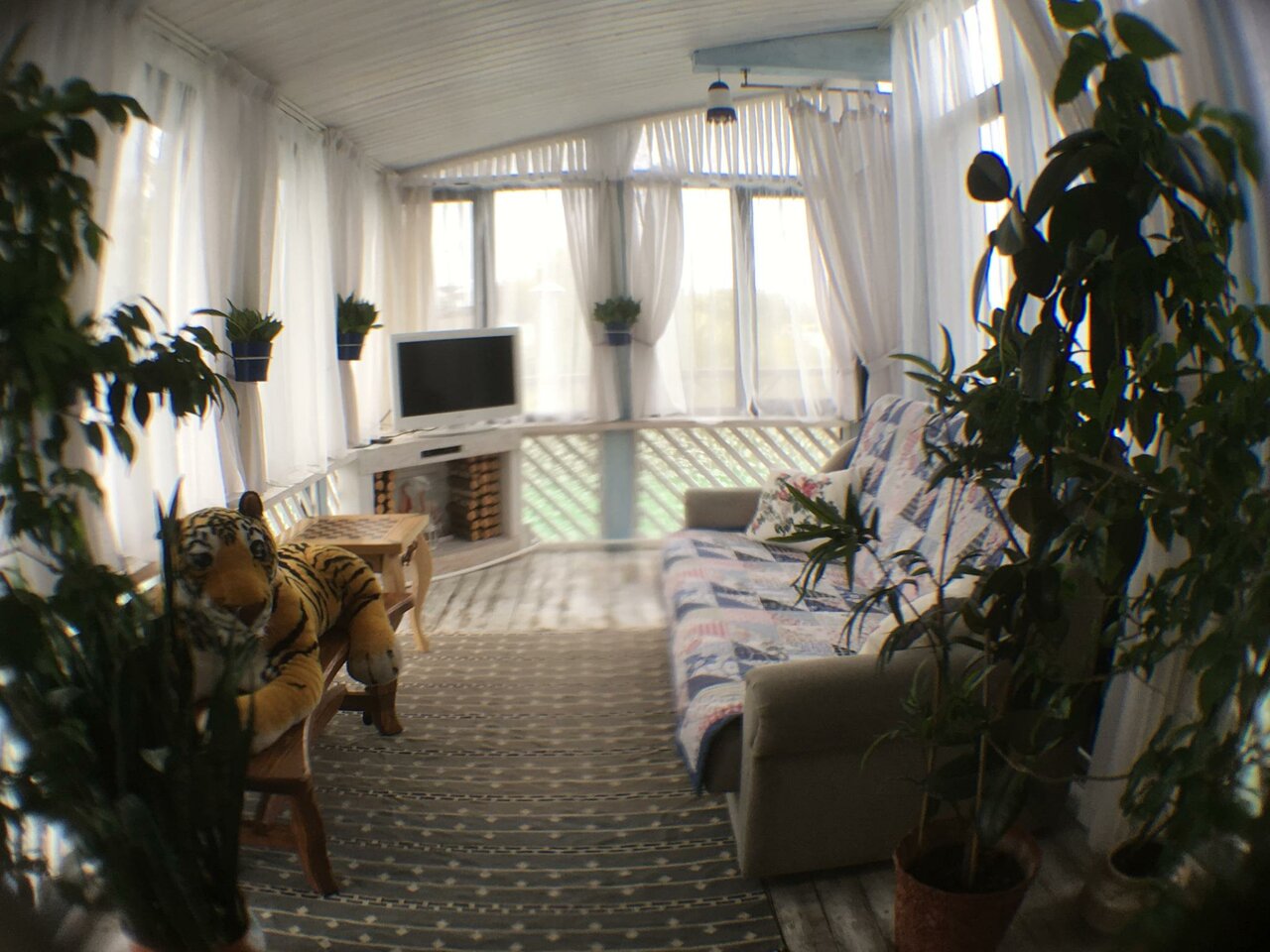 Гостиница Колесо Смоленск-242