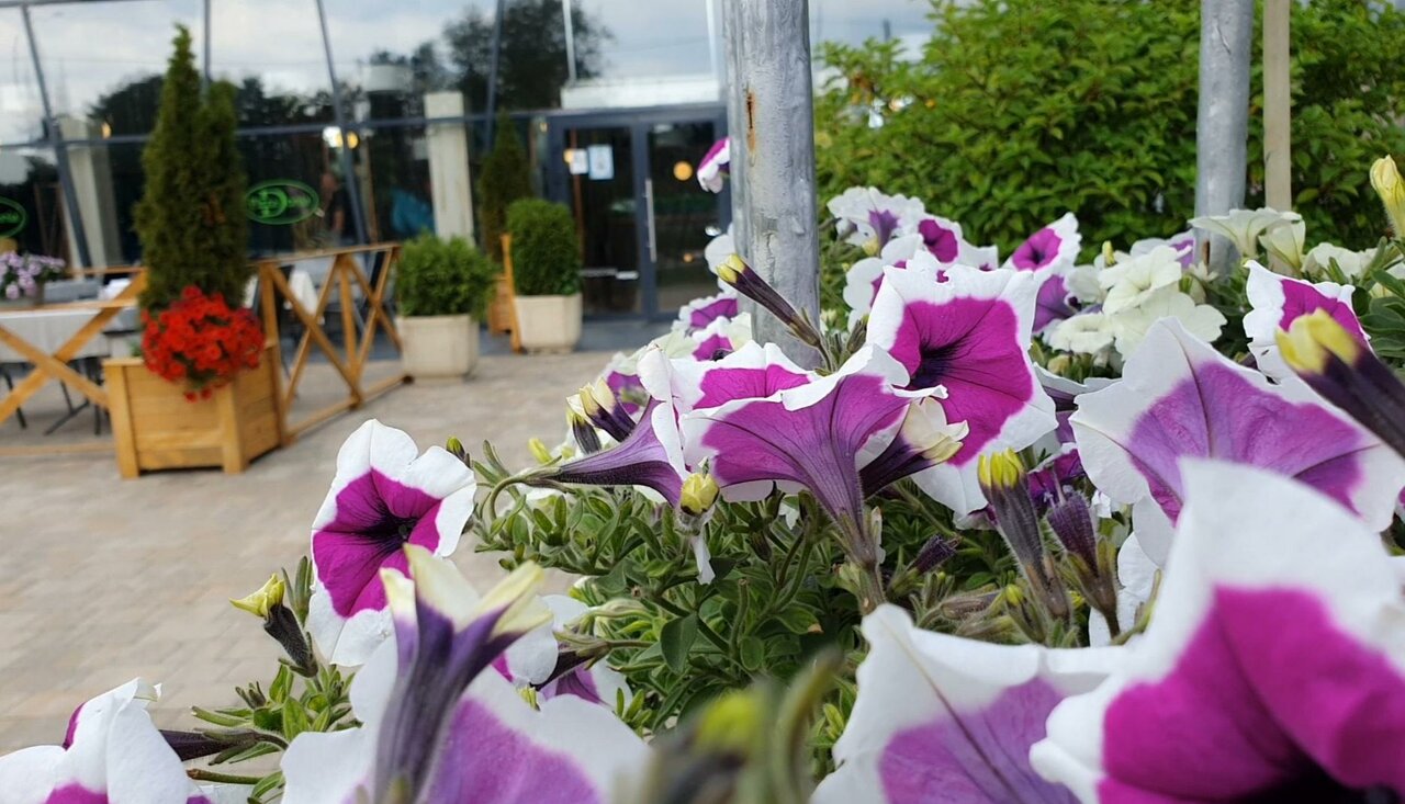 Гостиница Колесо Смоленск-136