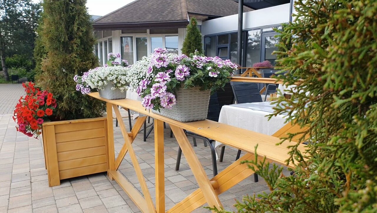 Гостиница Колесо Смоленск-189