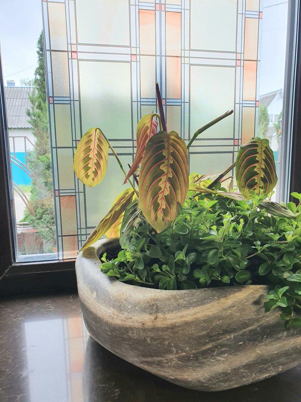 Гостиница Колесо Смоленск