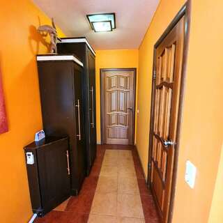 Гостиница Колесо Смоленск №6 Индия-6